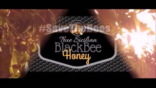 True Sicilian BlackBee Honey