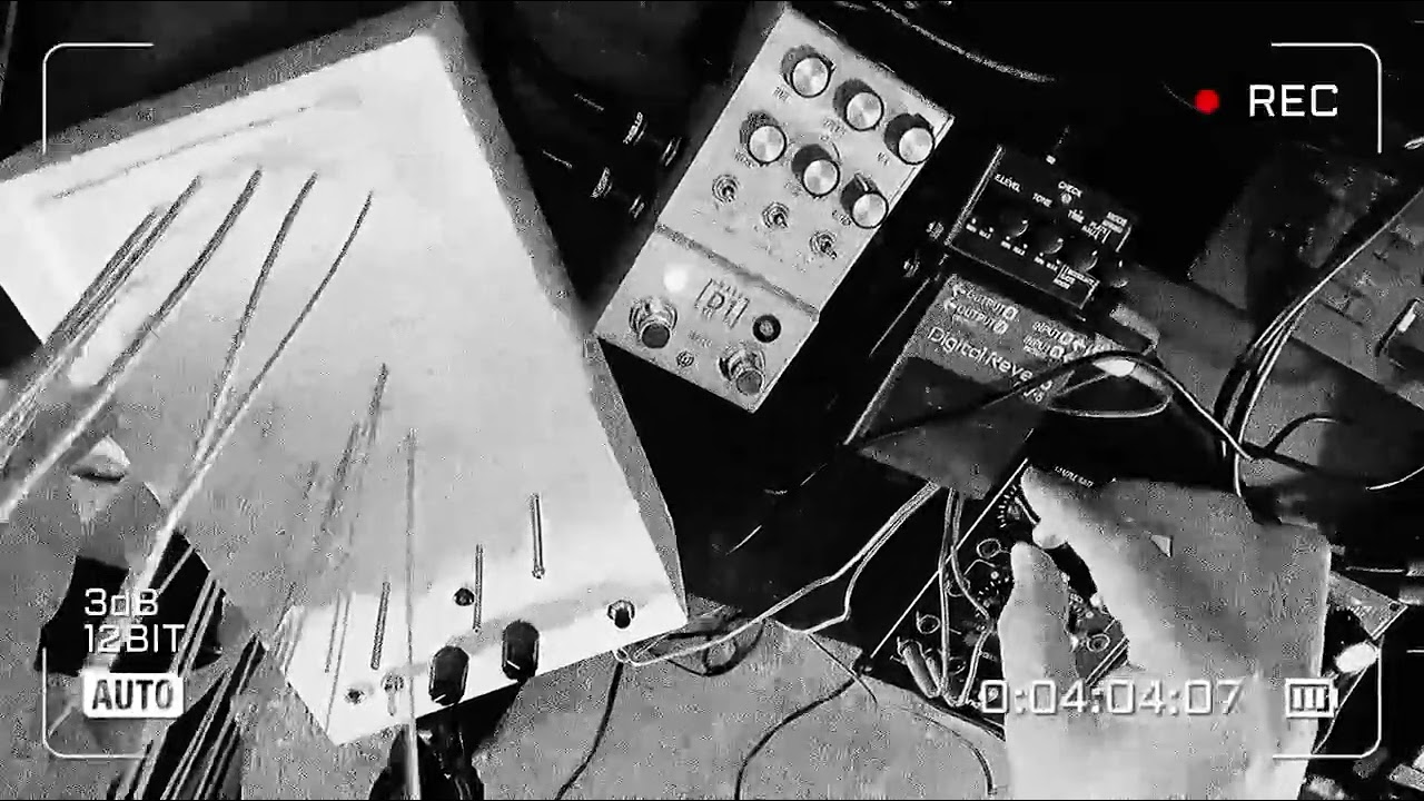 First run with the Electro Lobotomy Active Sonic Forest.