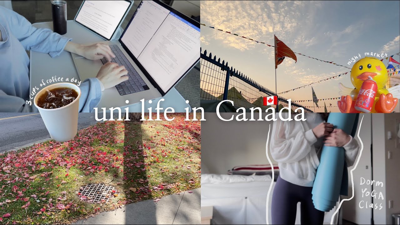 바쁘다 바빠 대학생 브이로그 👩🏻‍💻| 10월이 있었는데요 없어졌..? | 하루에 커피 3잔은 기본! ☕️ | 수업시간에 빵먹다가 교수님한테 들켜봤어?! 난 있어.. 😬