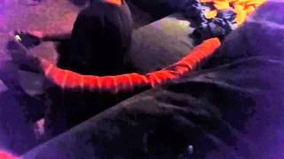 Got Him Hard With Deez Nuts