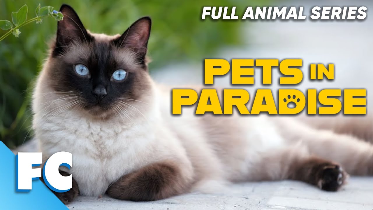 Ptes Show Pets In Paradise (25/26) | Season 2 Episode 12: Unlikely Couple | Full ...