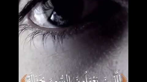 ما تيسر من سورة النساء | بصوت الشيخ رعد الكردي