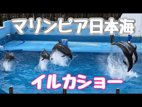 【マリンピア日本海】イルカショー　新潟市水族館【ニンニクハンター】