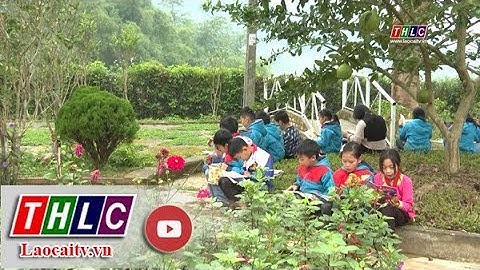 Mô hình trường học sinh thái là gì năm 2024