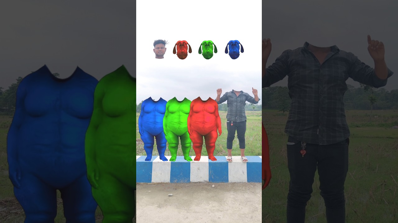 Three green, blue & red Fatty dog vs cute brothers head matching with tu Radha meri main 🥰 songs