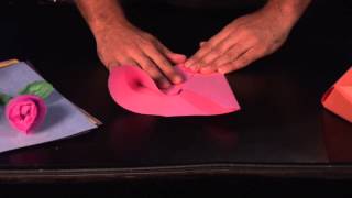 How to Make a Flying Duck