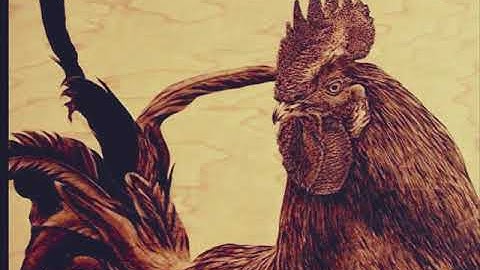 Julie Bender   Выжигание по дереву