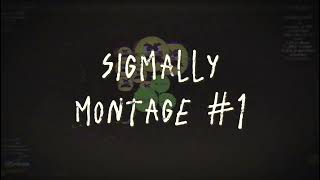 Sigmally Montage #1