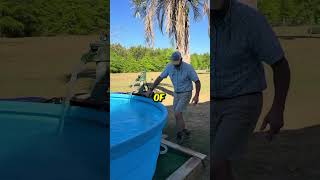 DIY Poly Tank Pool 🌊 @dr.quick3
