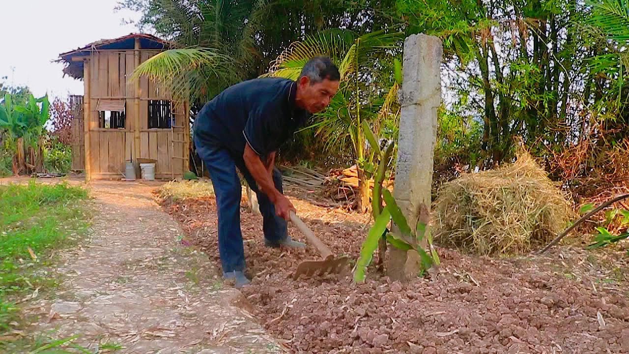 Home Makeover & Fresh Gardening: The Secrets of an Energetic Farmer