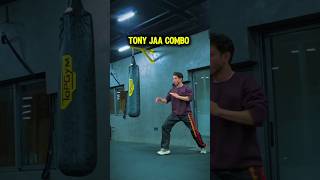 Tony Jaa Combo -Defence