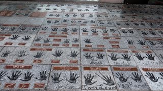MICHAEL JACKSON's Elementary School & ROCKWALK