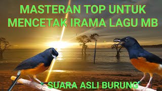 MASTERAN MURAI BATU TERBARU 2022 Untuk Mencetak Irama lagu Dan Speed Materi Rapat Roll Tembak