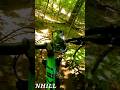 Copeland Forest Best Downhill