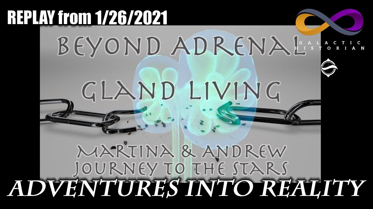 Adventures Into Reality REPLAY  Beyond Adrenal Gland Living  Karma  Grief  Love   Self Discovery