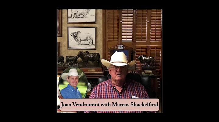 Joao Vendramini Interviews Marcus Shackelford of R...