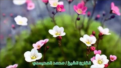 تلاوة مختارة ( من سورة فاطر ) الشيخ / محمد المحيسني