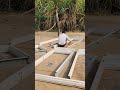 #shortvideo #doorframe #viralvideo mahadev Japani Door And Window Frame Pandapur Taraon Ghazipur Up