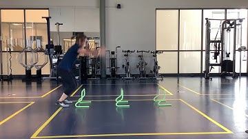 Hurdle Jumps (w. double bounce)