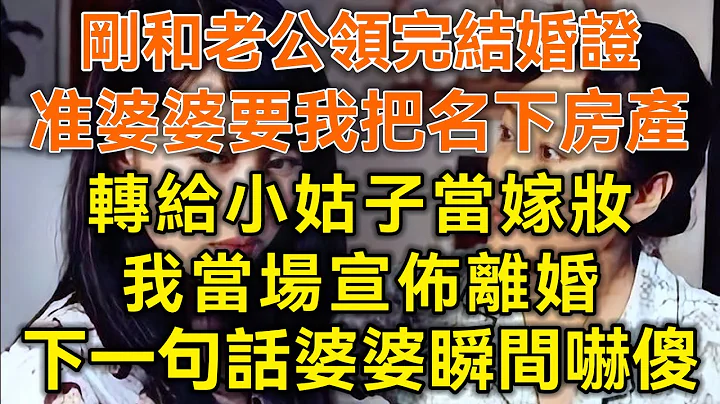 刚和老公领完结婚证！准婆婆要我把名下房产转给小姑子当嫁妆！我当场宣布离婚！下一句话婆婆瞬间吓傻！#生活经验 #情感故事 #深夜浅读 #幸福人生 #深夜浅谈 - 天天要闻