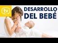 El desarrollo del beb