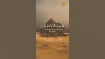 سورة النور #quran #قرآن #قران_كريم #قران #قرآن_كريم