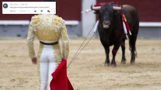 Apakah Banteng Benci Warna Merah?