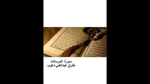 سورة المرسلات للقارئ طارق عبدالغني دعوب