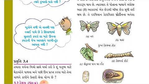 STD 7 SCIENCE PATH 3 PART 3 SHREEMAD DAYANAND KANYA VIDYALAYA JAMNAGAR