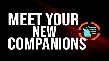 NEW Companion System Revealed in The Division 2!