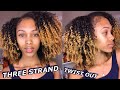 Three Strand Twist Out For Ultimate MOISTURE & DEFINITION | ONLY 8 TWISTS!