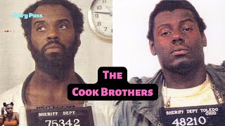 Black Serial Kllers The Cook Brothers Fairy Puss Psychologist Bre Starr