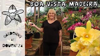 Orchid Nursery, Madeira || Quinta da Boa Vista