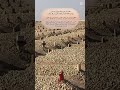 اللهم اغفر لموتانا و موتى المسلمين أجمعين 