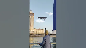 Dubai Hologram Hologramanimation Shorts Holographic 