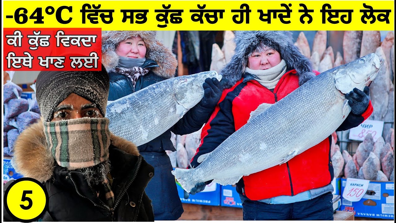 ਦੁਨੀਆ ਦੇ ਸਭ ਤੋੰ ਠੰਡੇ ਸ਼ਹਿਰ ਦਾ ਖਾਣਾ ਬਾਜ਼ਾਰ😱 Frozen Open Air Food Market in -64°C Punjabi Vlog Yakutsk
