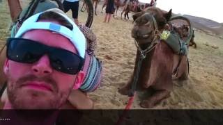 SSP16 :: The Summary of an Out-of-This-World Summer in Israel