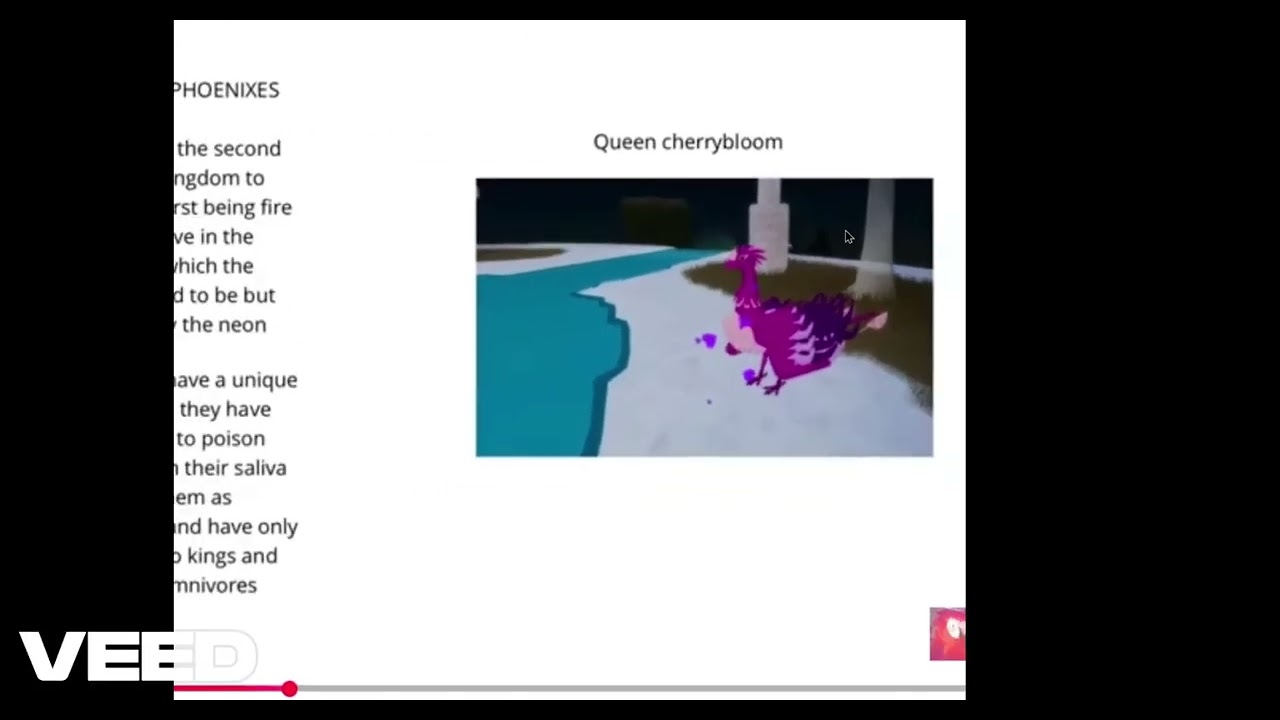reacting to my old phoenixes video