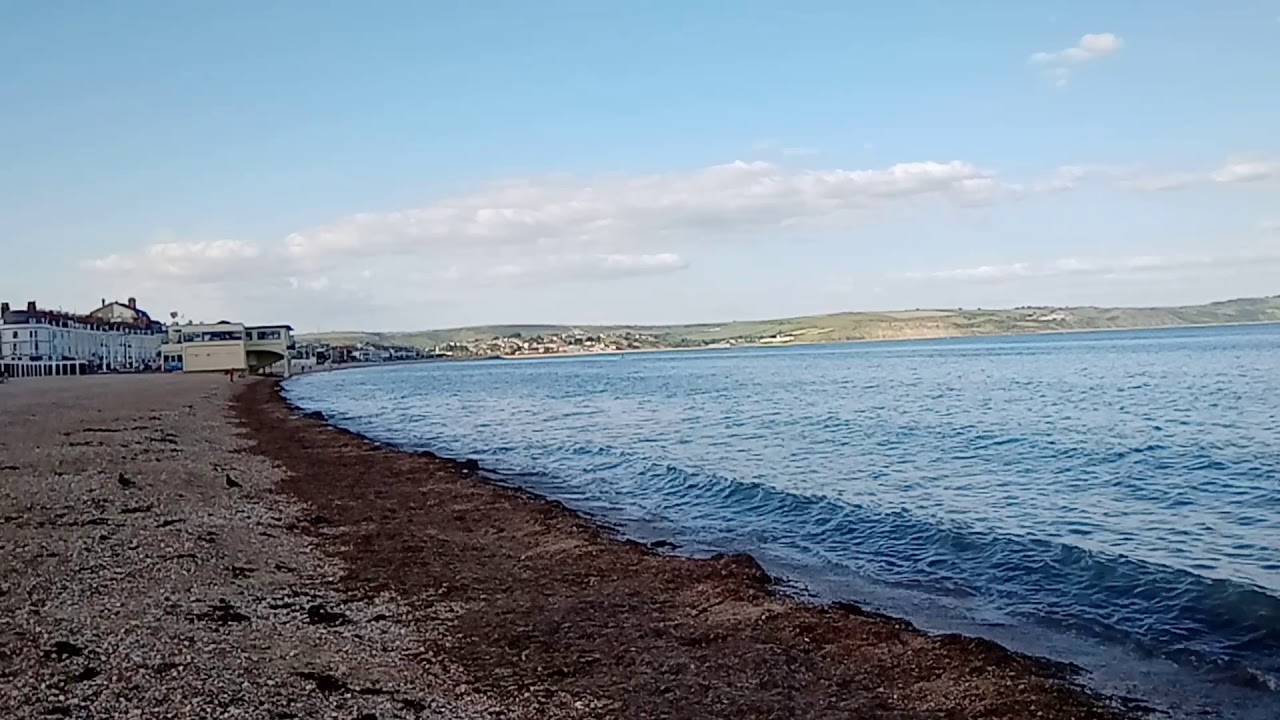 Weymouth Dog Friendly Beach Dorset England