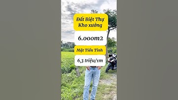 🔥 BÁN ĐẤT MẶT TIỀN ĐƯỜNG LIÊN TỈNH 826 – TRUNG TÂM THỊ TRẤN CẦN ĐƯỚC, LONG AN ngày 18 tháng 8, 2025