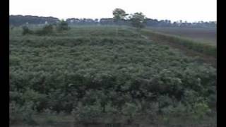 Download Lagu de blauwe bes MP3