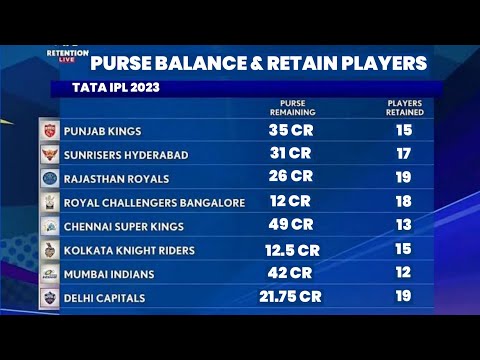 The remaining Purse of all teams ahead of IPL 2024 auction : r/ipl