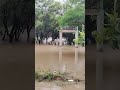 అలుగు పారి, మత్తడి దుంకుతున్న, మా ఖాదర్ గూడెం చెరువు (పటెల్ కుంట)..#kcr #agriculture