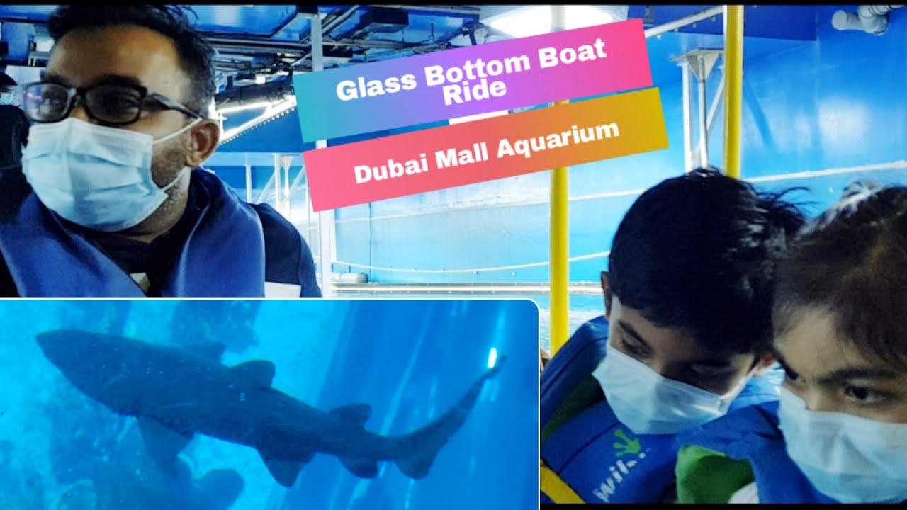 glass boat tour dubai aquarium