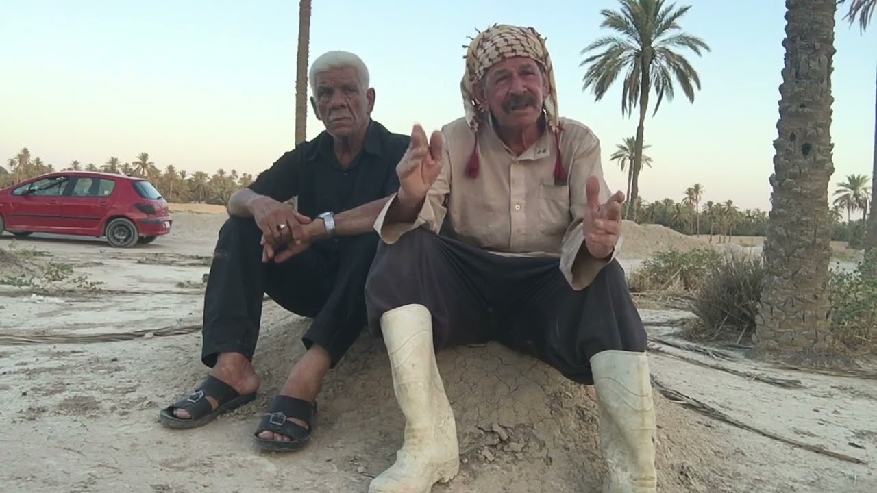 مشاكل وحلول بساتين مدينة مندلي