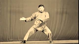 Taiji, Chen Xiaowang, demonstration, master of chenstyle taiji, grandmaster, taijiquan, 陈小旺