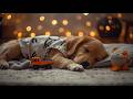 3 Hours Dog Calming Music🐶Deep Sleep Music for Dogs | Separation Anxiety & Stress Relief #63