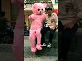 Pink Teddy Pagal_Panthi Viral  Video 😂😂 #viral #viralreels #viralvideo #shortvideo #tranding