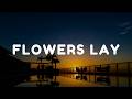 Mei Anima - Flowers Lay (Lyrics)