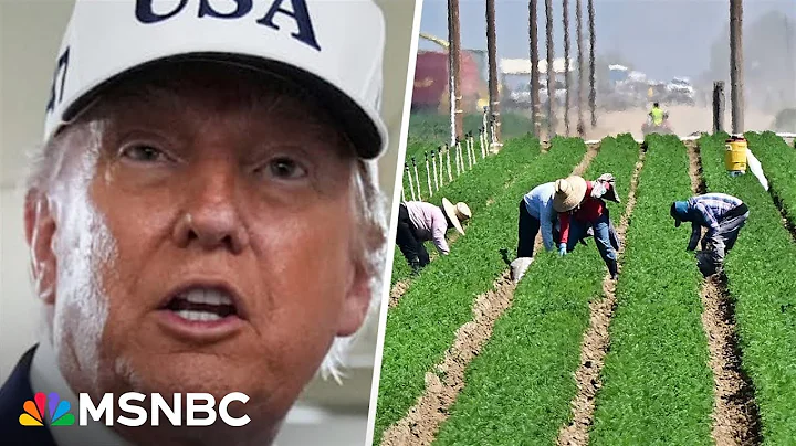 'We've got a real disaster': Farmers struggle amid rising costs and Trump's tariffs